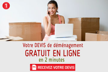 devis demenagement